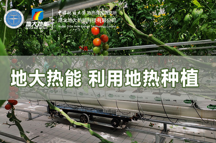 地大热能利用地热种植
